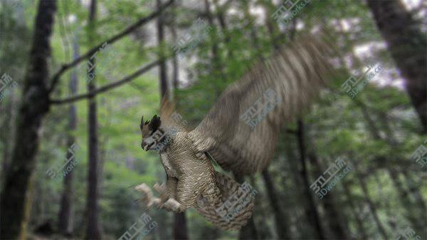 images/goods_img/20210312/3D Great Horned Owl Animated model/2.jpg